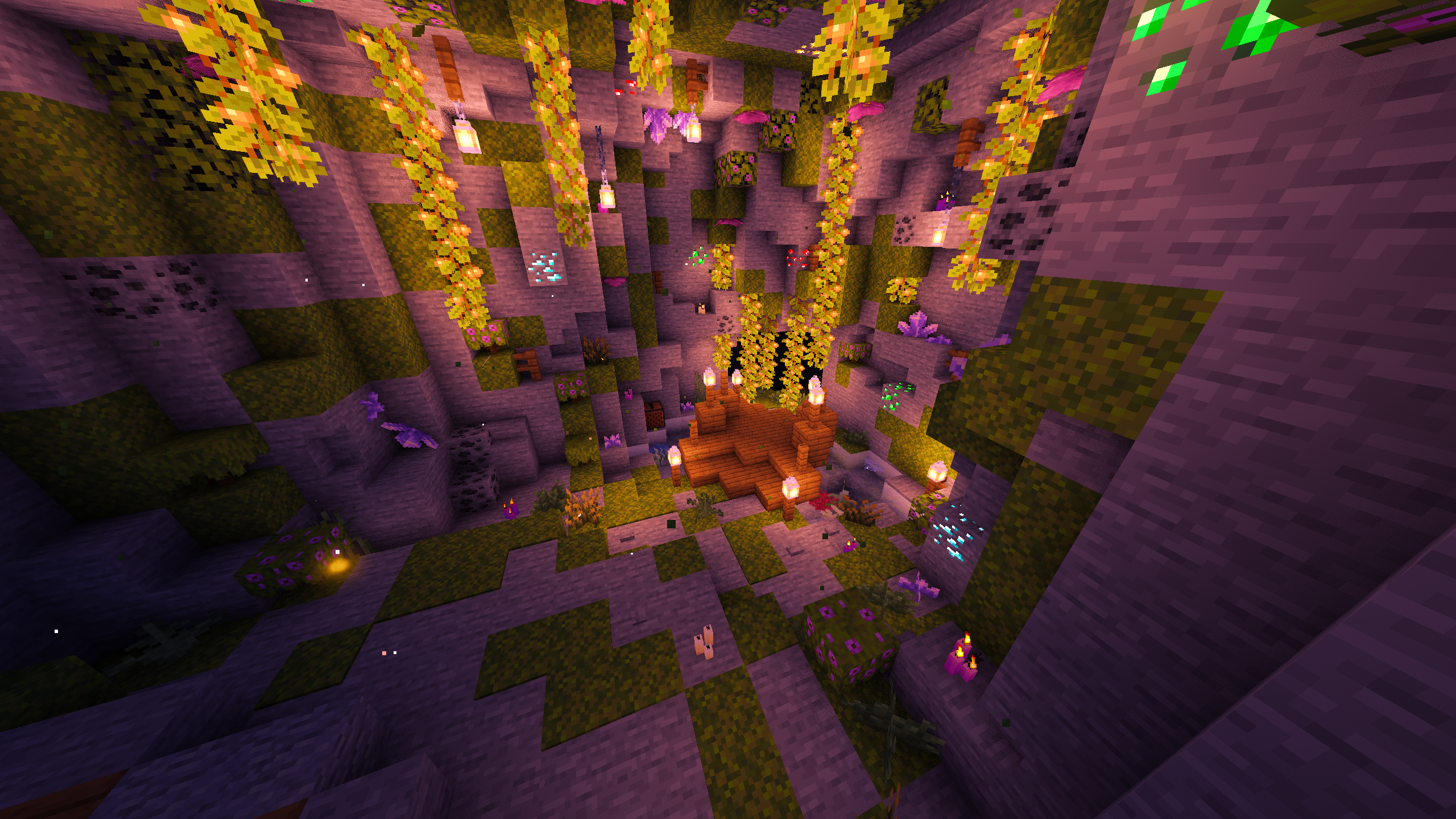 fornix_location